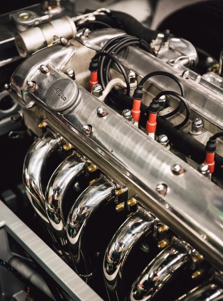 photo 1552656967 7a0991a13906